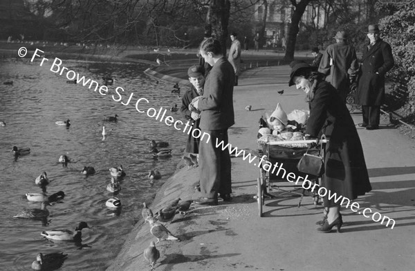 ST STEPHEN'S GREEN FEEDING DUCKS